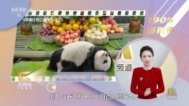 国内精品视频一区